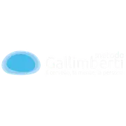 Logo Organization Metodo Fallimberti