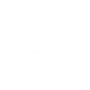 Logo Organization Salus Pro Domo